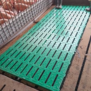 FiberSlat Swine Flooring